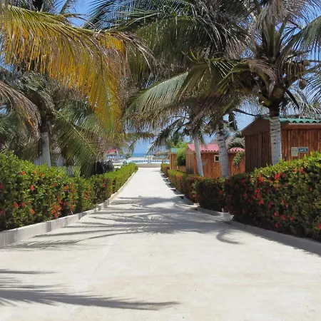 Hotel Arena
